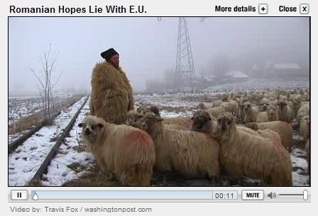 Sheeps in the dark romhopes.jpg